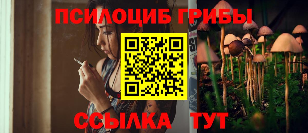 Галлюциногенные грибы MAGIC MUSHROOMS Похвистнево
