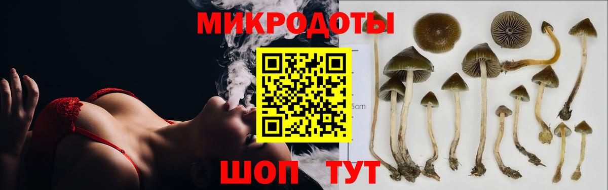 Галлюциногенные грибы GOLDEN TEACHER  Вход с VPN  где купить наркотик  Похвистнево 